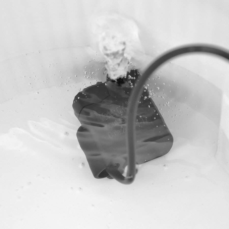 Trinkbrunnen für Haustiere