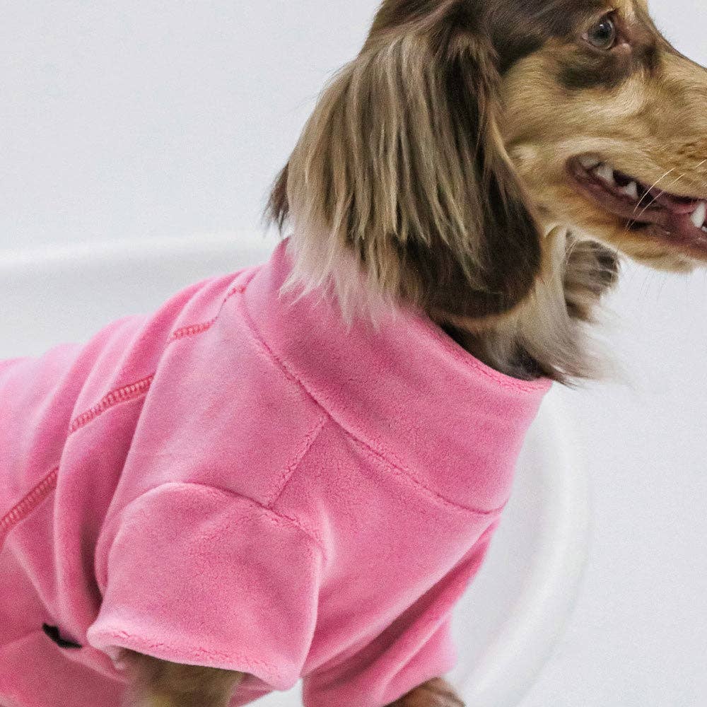 Rollkragenpullover im 3er-Pack für kleine Hunde und Katzen