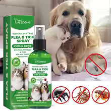 Haustier Schädlingsspray