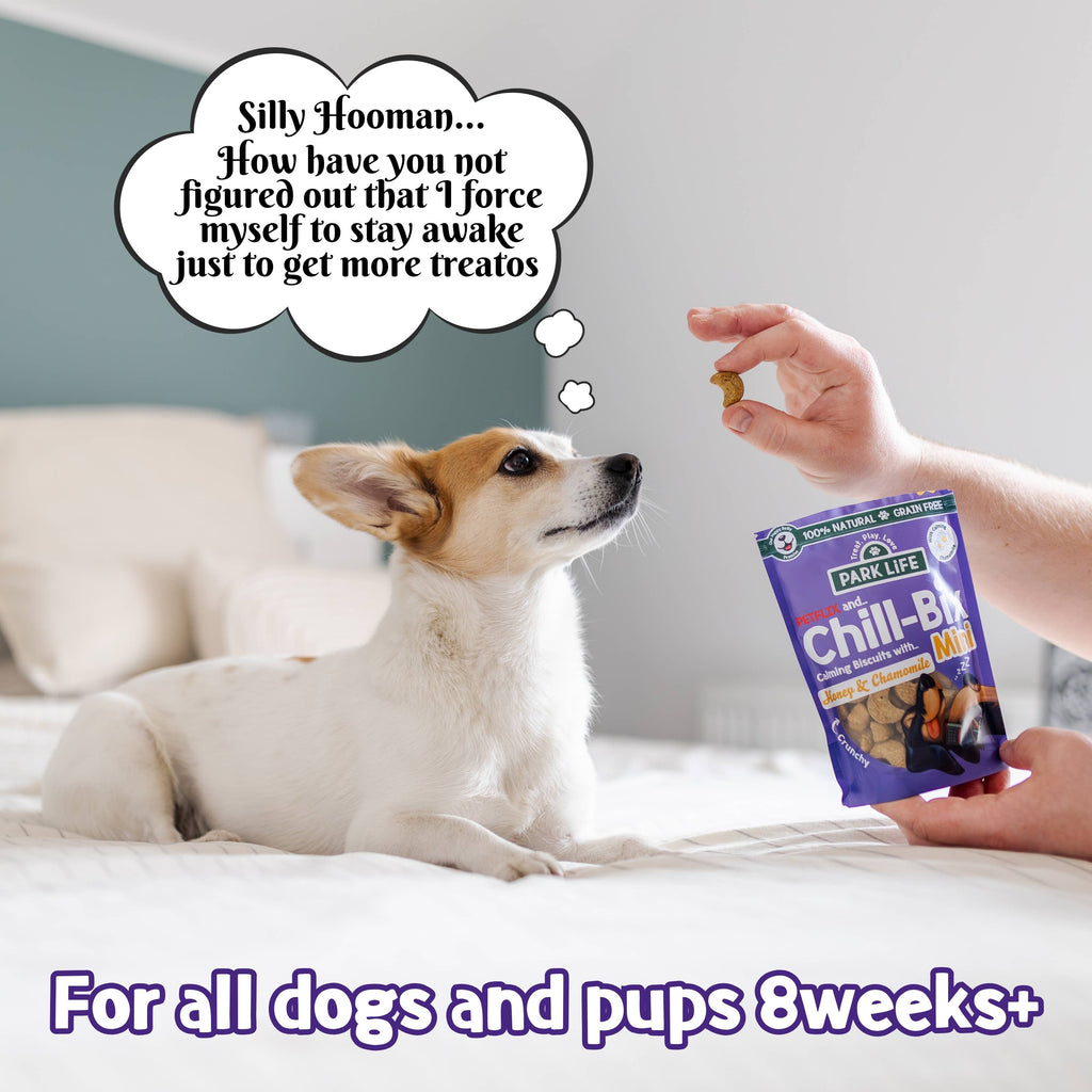 MINI-Kekse mit Honig und Kamille, 100 g Beutel