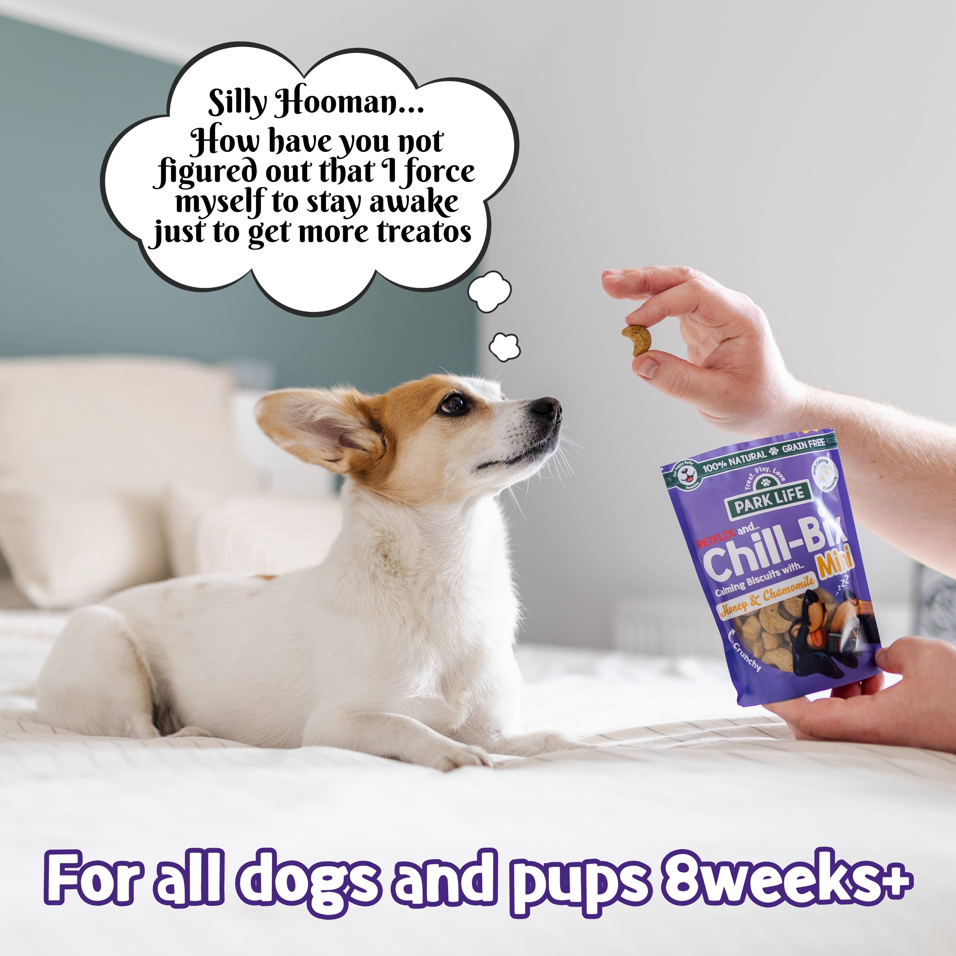 MINI-Kekse mit Honig und Kamille, 100 g Beutel