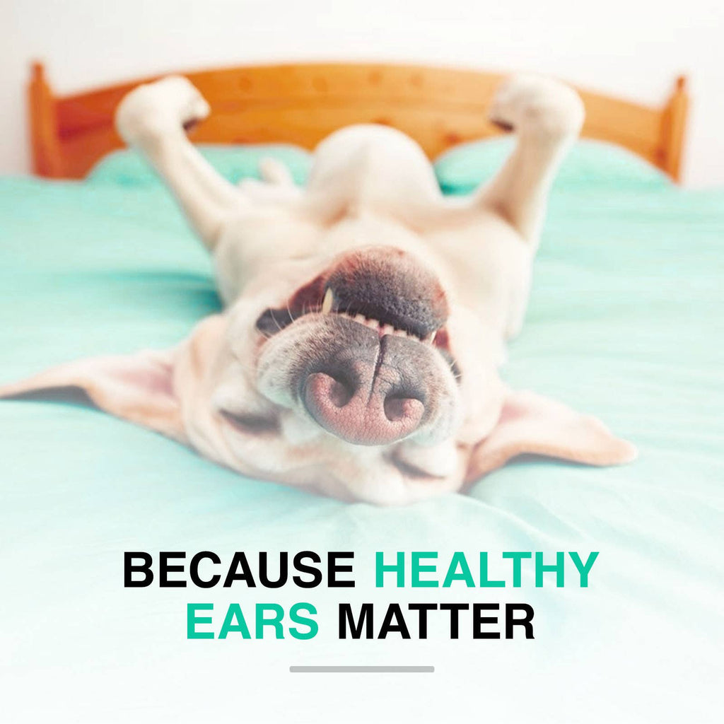 Ohrenreiniger für Katzen/Hunde